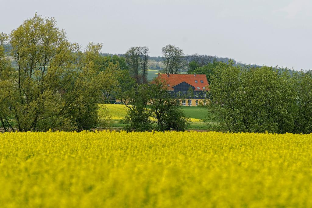 Landhaus Heidekrug Hildesheim Exterior photo